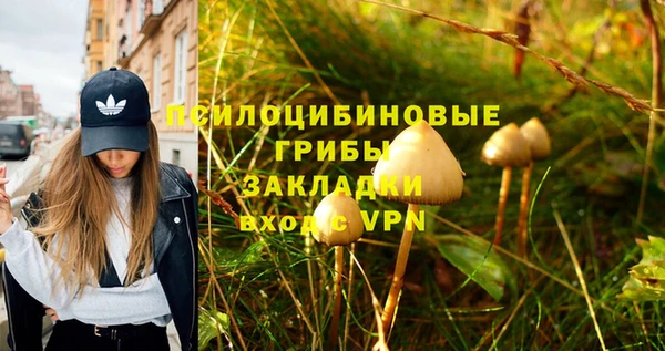 дмт Бородино