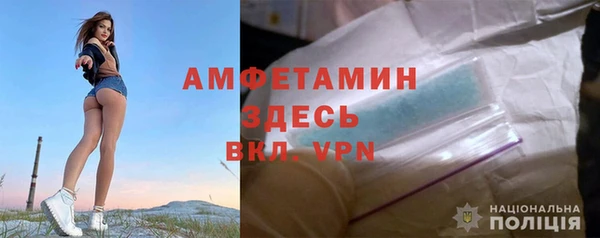 дмт Бородино