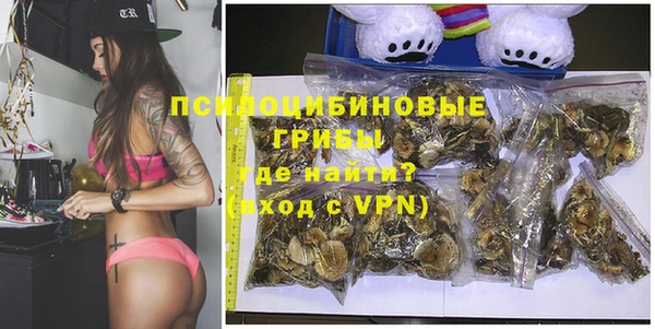 дмт Бородино