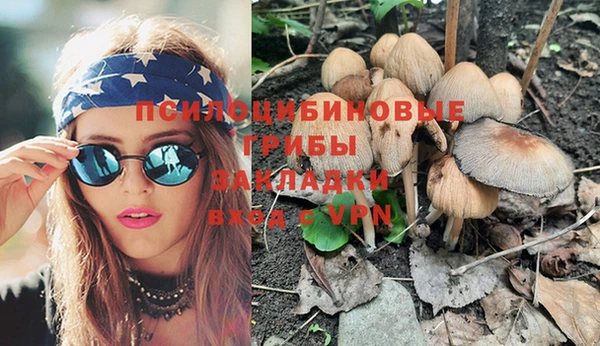 дмт Бородино