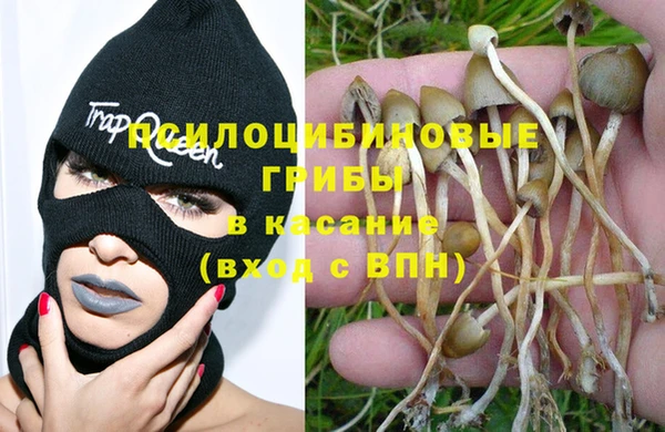 дмт Бородино