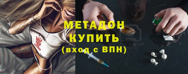 дмт Бородино