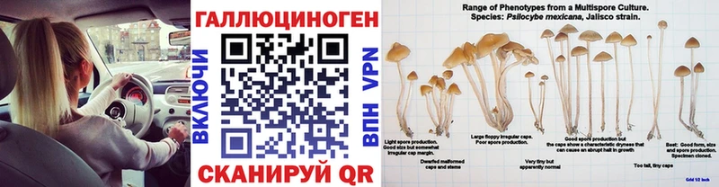 Галлюциногенные грибы GOLDEN TEACHER Знаменск
